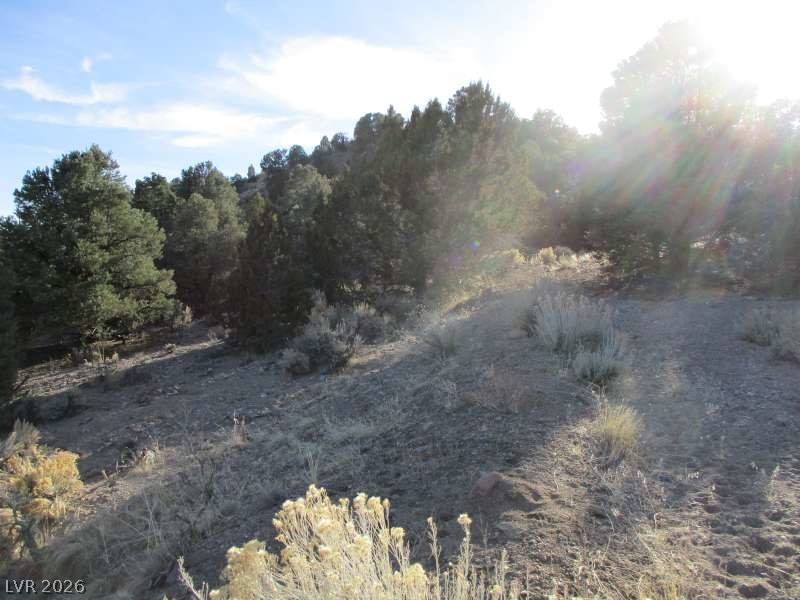Nv Hwy 322 (30.15 Ac) Property Photo 7