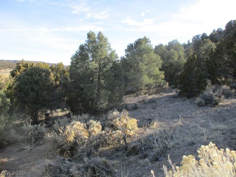 Nv Hwy 322 (30.15 Ac) Property Photo 8