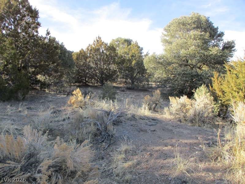 Nv Hwy 322 (30.15 Ac) Property Photo 10