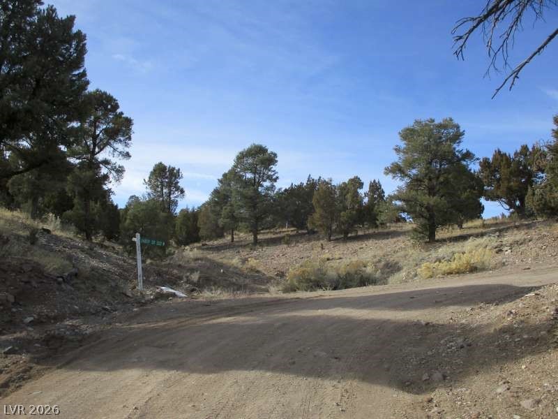 Nv Hwy 322 (13.753 Ac) Property Photo 3
