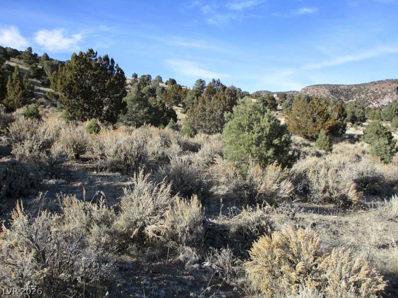 Nv Hwy 322 (10.012 Ac) Property Photo 1