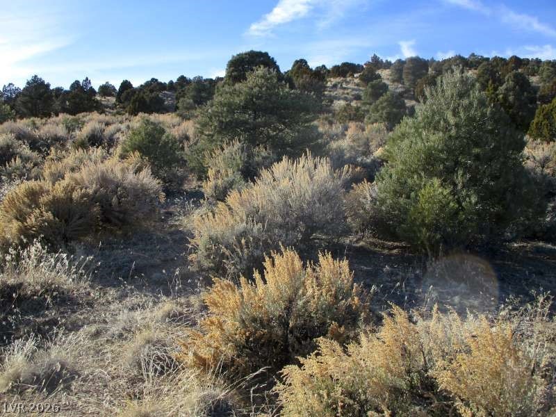 Nv Hwy 322 (10.012 Ac) Property Photo 2
