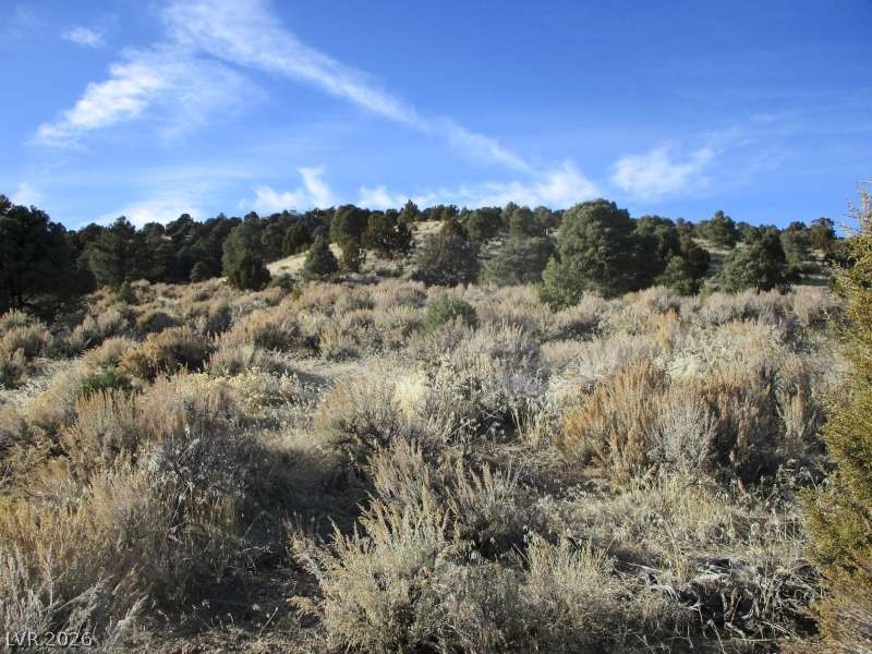 Nv Hwy 322 (10.012 Ac) Property Photo 3