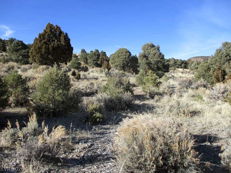 Nv Hwy 322 (10.012 Ac) Property Photo 4