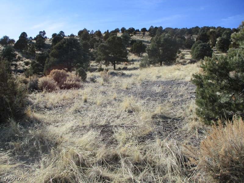 Nv Hwy 322 (10.012 Ac) Property Photo 5