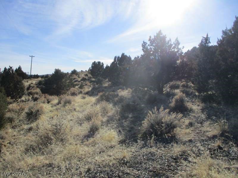 Nv Hwy 322 (10.012 Ac) Property Photo 6