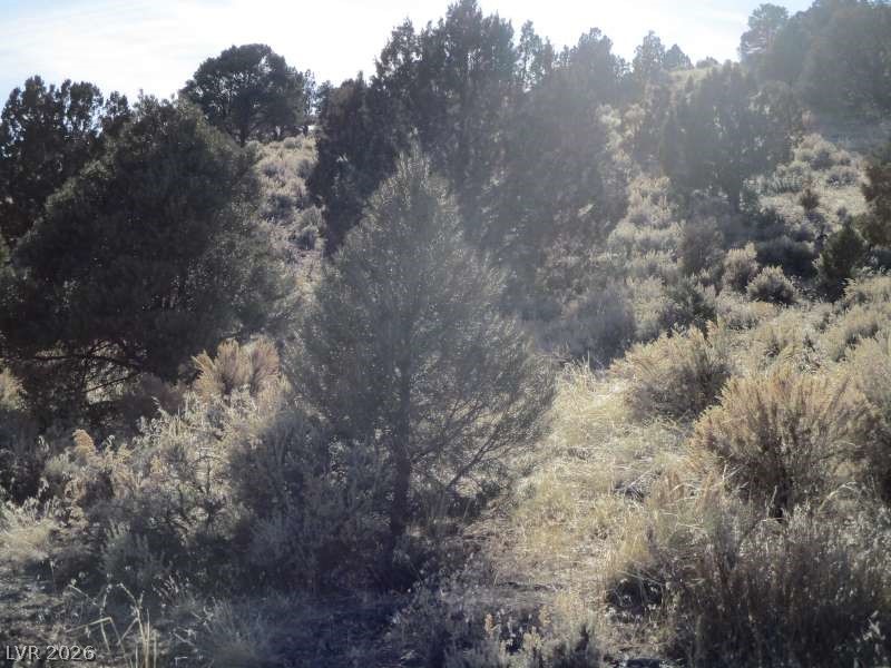 Nv Hwy 322 (10.012 Ac) Property Photo 7