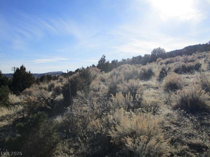 Nv Hwy 322 (10.012 Ac) Property Photo 8