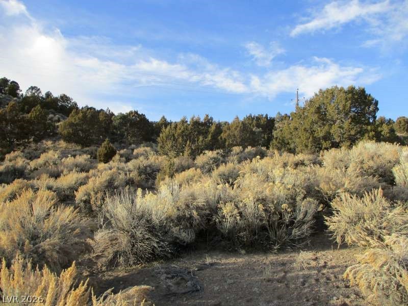 NV Hwy 322 (9.86 Ac)