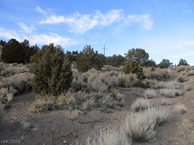 Nv Hwy 322 (9.86 Ac) Property Photo 2