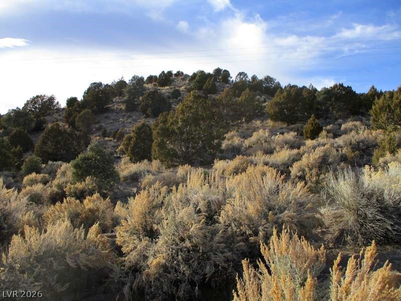 Nv Hwy 322 (9.86 Ac) Property Photo 3