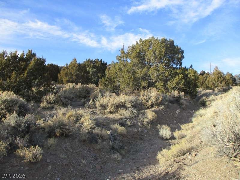 Nv Hwy 322 (9.86 Ac) Property Photo 4