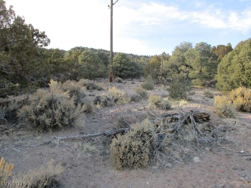 Nv Hwy 322 (9.86 Ac) Property Photo 5
