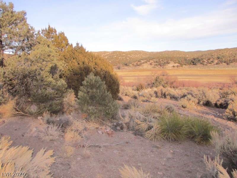 Nv Hwy 322 (9.86 Ac) Property Photo 6
