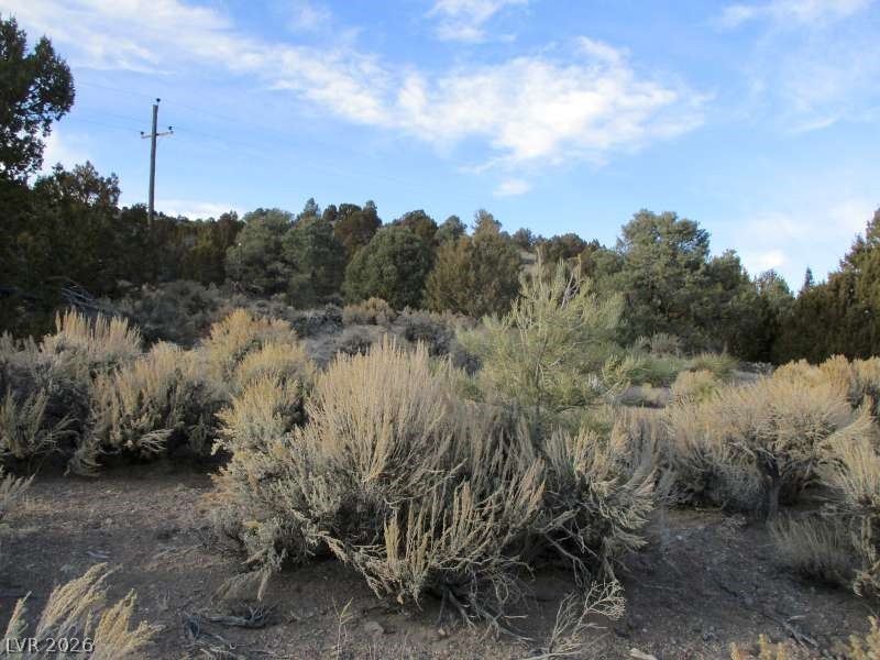 Nv Hwy 322 (9.86 Ac) Property Photo 7