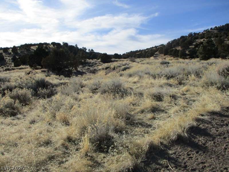 Nv Hwy 322 (2.19 Ac) Property Photo 3
