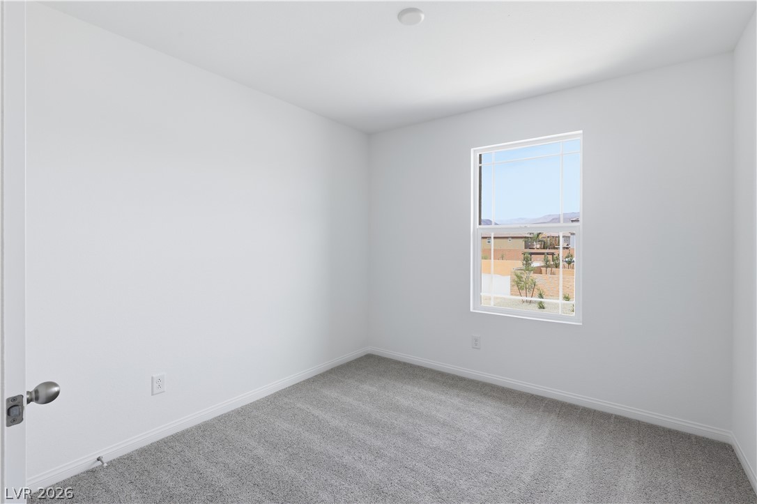 5326 Borra Hills Street Property Photo 12