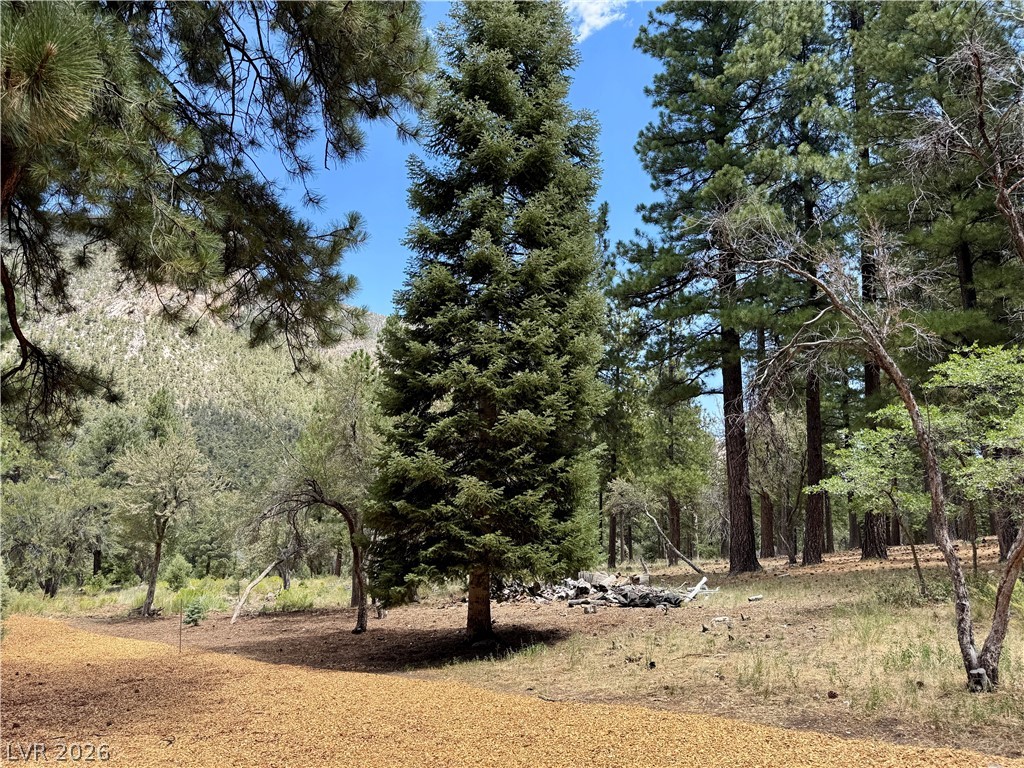 240 Alpine Crest Court Property Photo 56