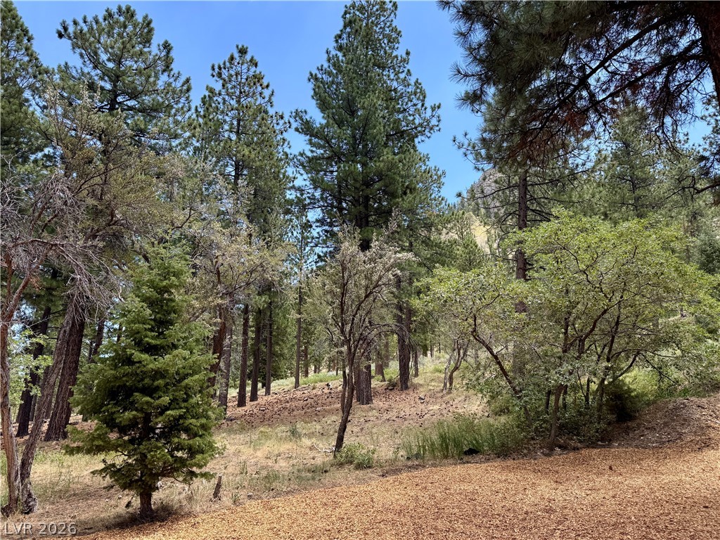 240 Alpine Crest Court Property Photo 57