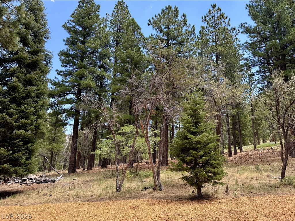 240 Alpine Crest Court Property Photo 58