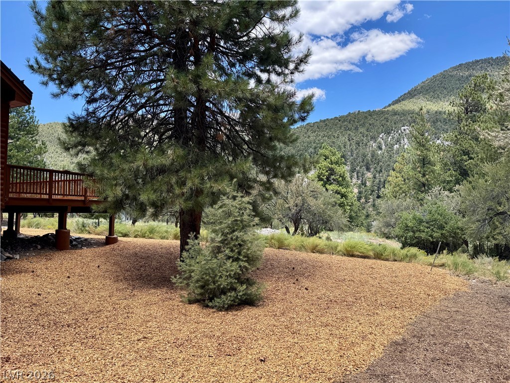 240 Alpine Crest Court Property Photo 59
