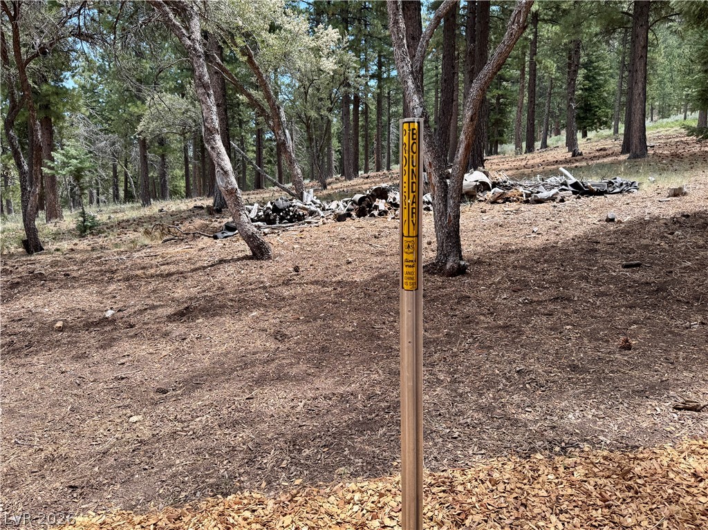 240 Alpine Crest Court Property Photo 63