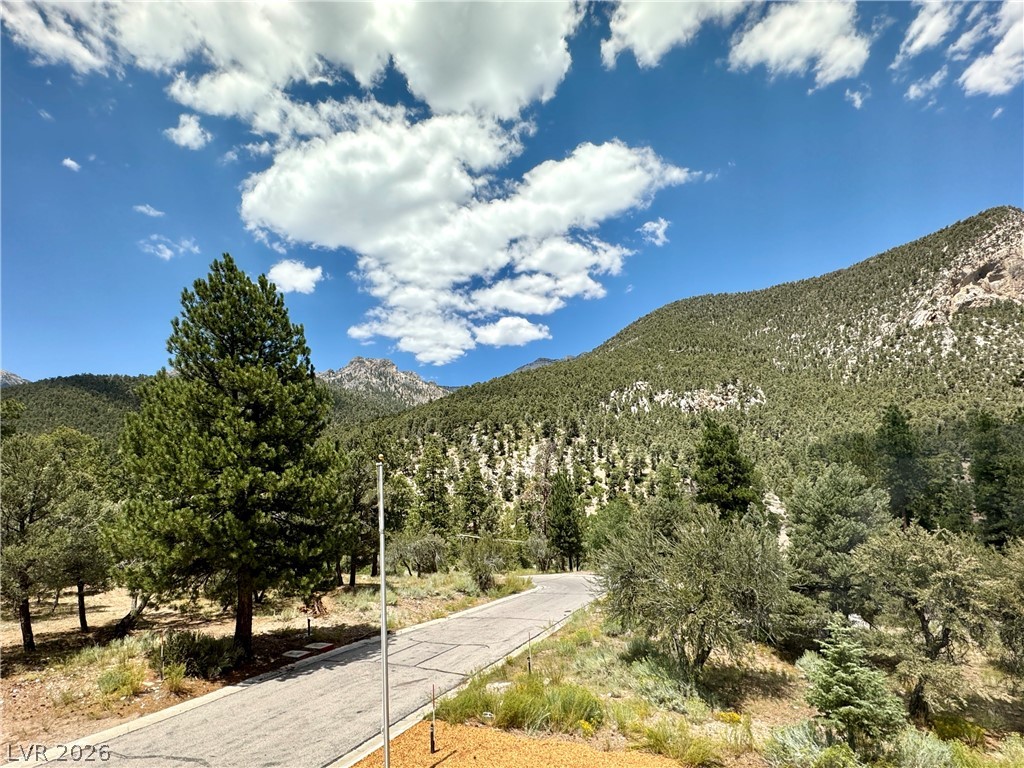 240 Alpine Crest Court Property Photo 71