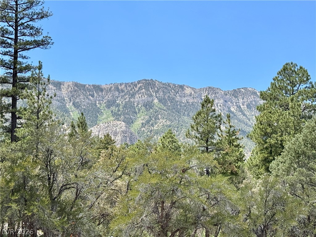240 Alpine Crest Court Property Photo 72