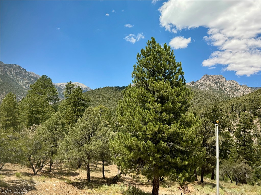 240 Alpine Crest Court Property Photo 73