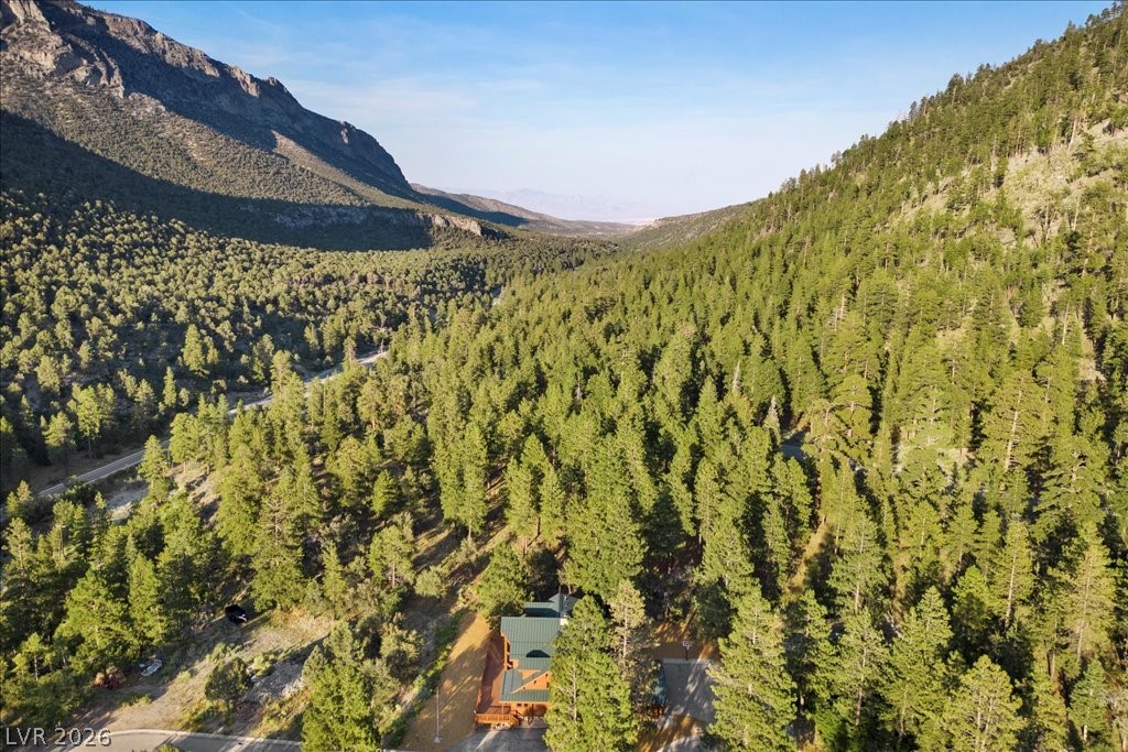 240 Alpine Crest Court Property Photo 74