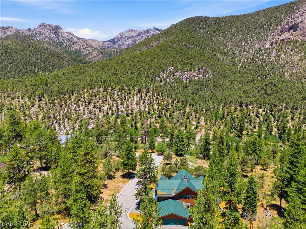240 Alpine Crest Court Property Photo 81