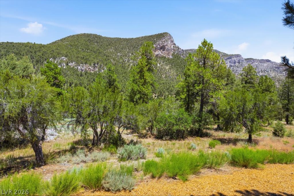 240 Alpine Crest Court Property Photo 82