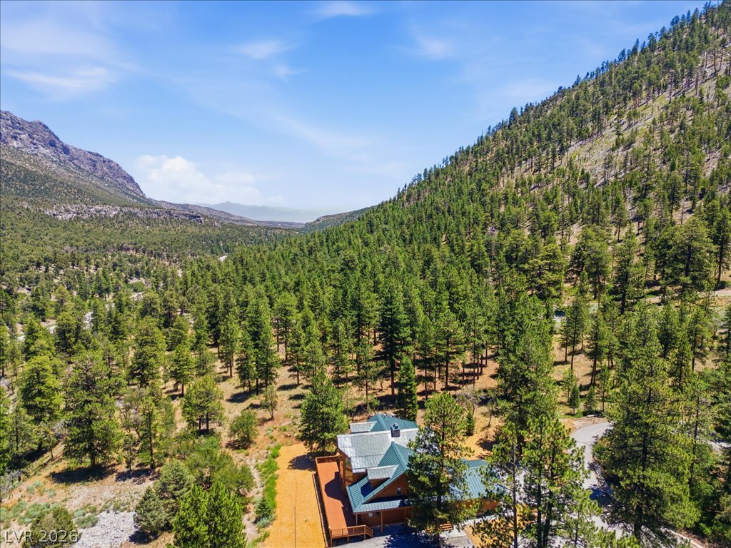 240 Alpine Crest Court Property Photo 83