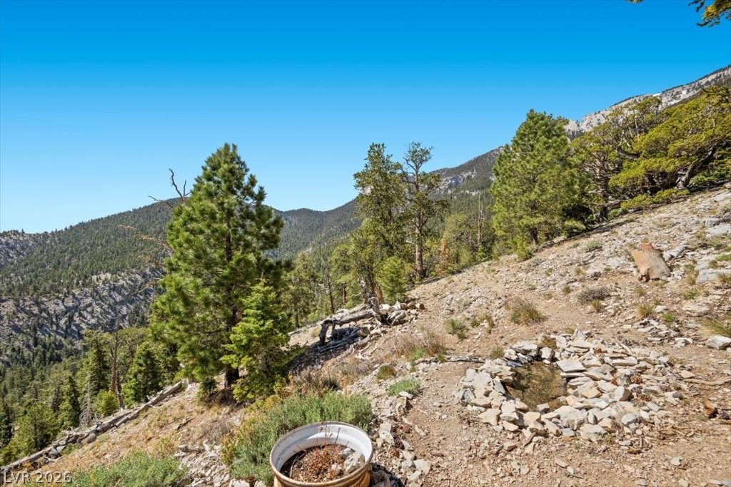 Apn 128-07-301-035 Cougar Ridge Property Photo 12