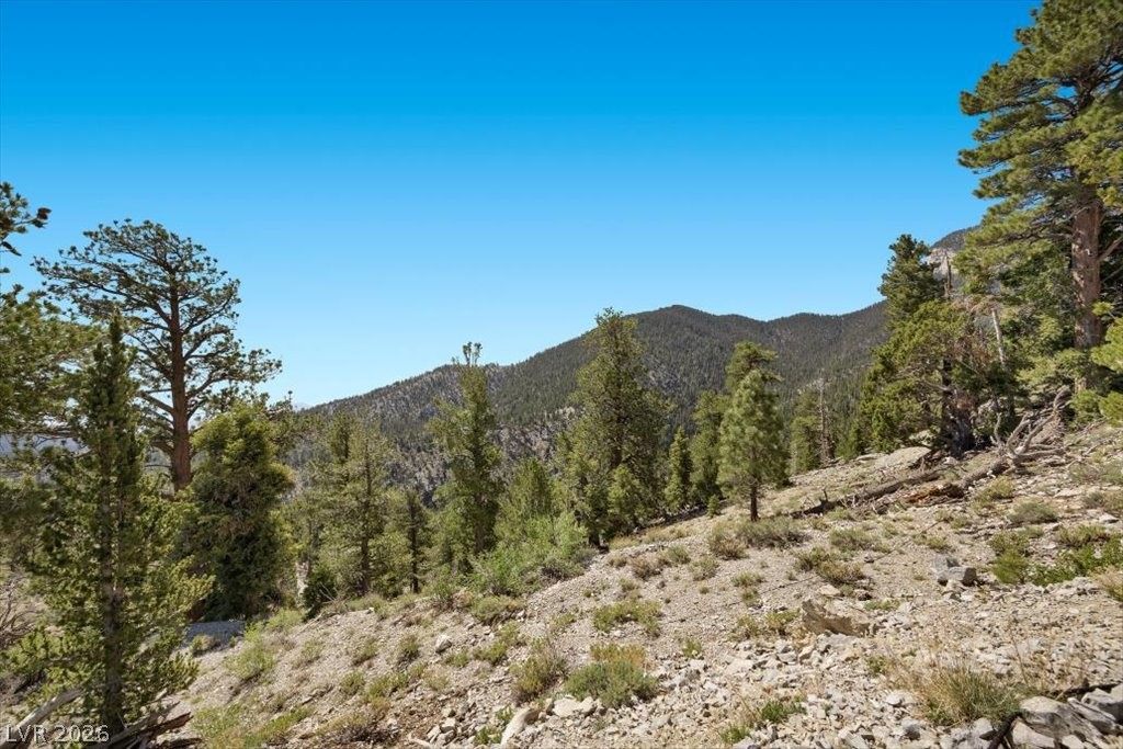 Apn 128-07-301-035 Cougar Ridge Property Photo 13