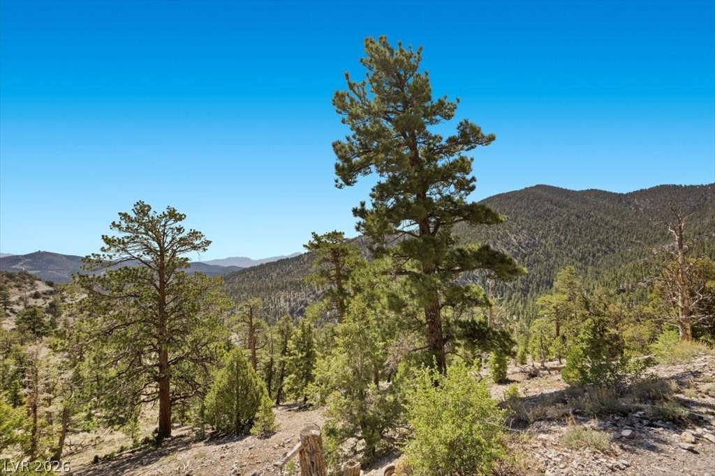 Apn 128-07-301-035 Cougar Ridge Property Photo 16