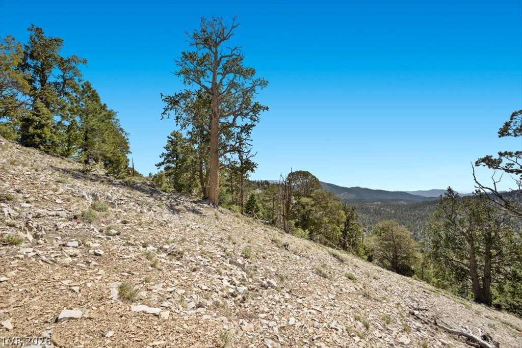Apn 128-07-301-035 Cougar Ridge Property Photo 17