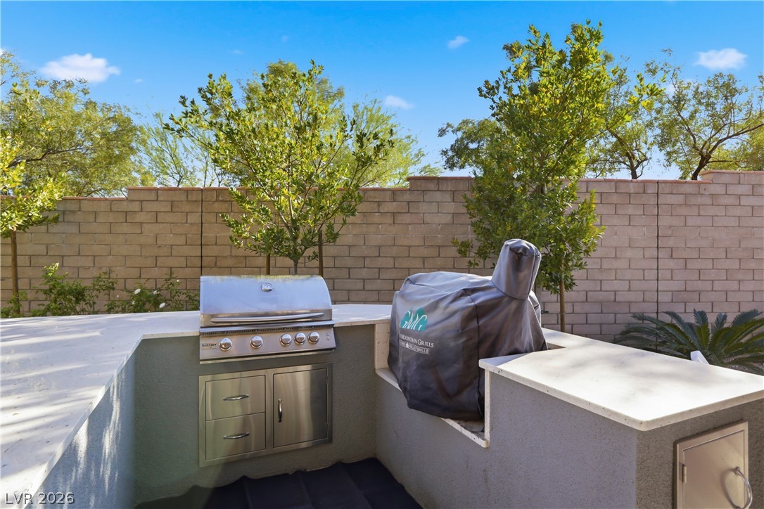 497 Paso De Montana Street Property Photo 60