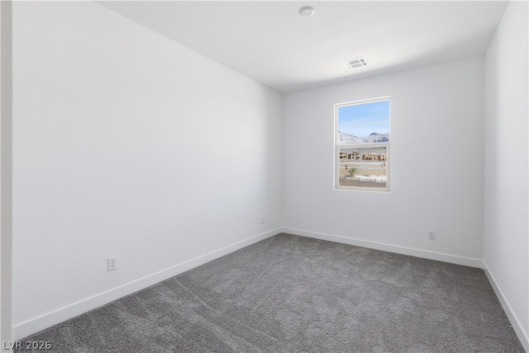 12135 Red Iris Avenue Property Photo 19