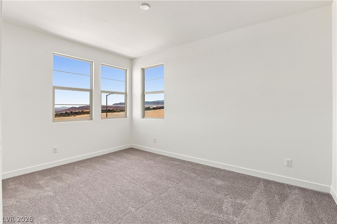 12115 Red Iris Ave Property Photo 16
