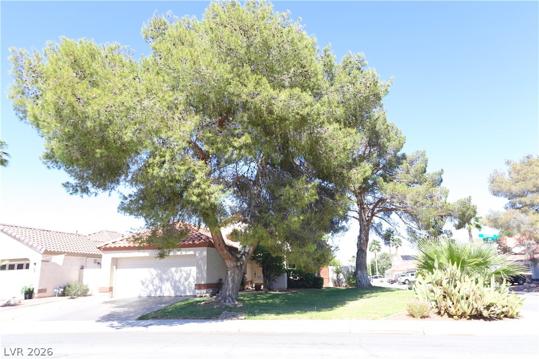 133 Coventry Circle Property Photo 15