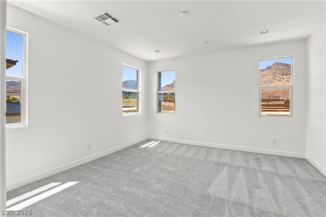 12123 Red Iris Ave Property Photo 7