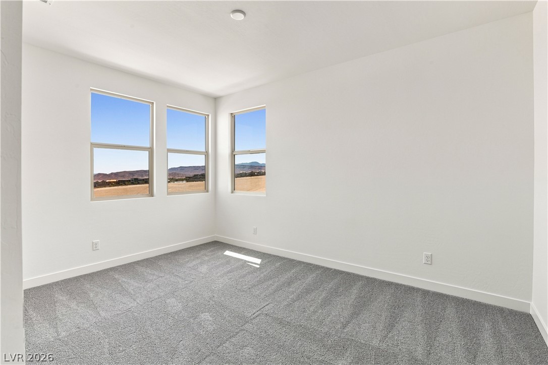 12123 Red Iris Ave Property Photo 16