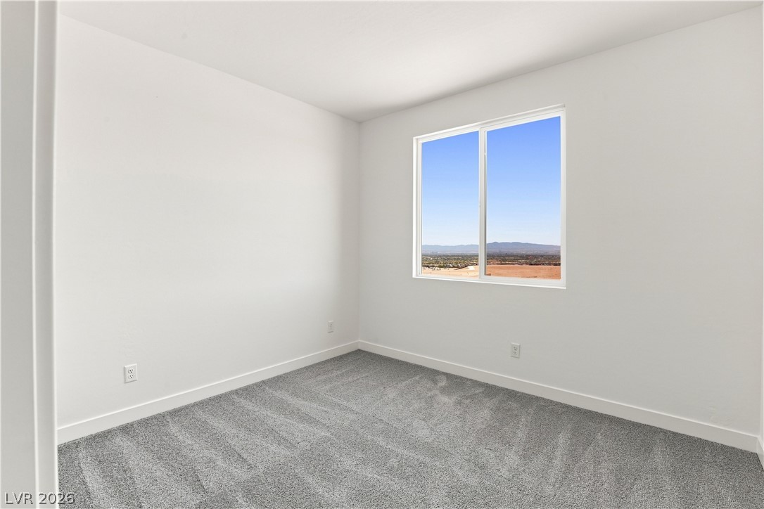 12123 Red Iris Ave Property Photo 17