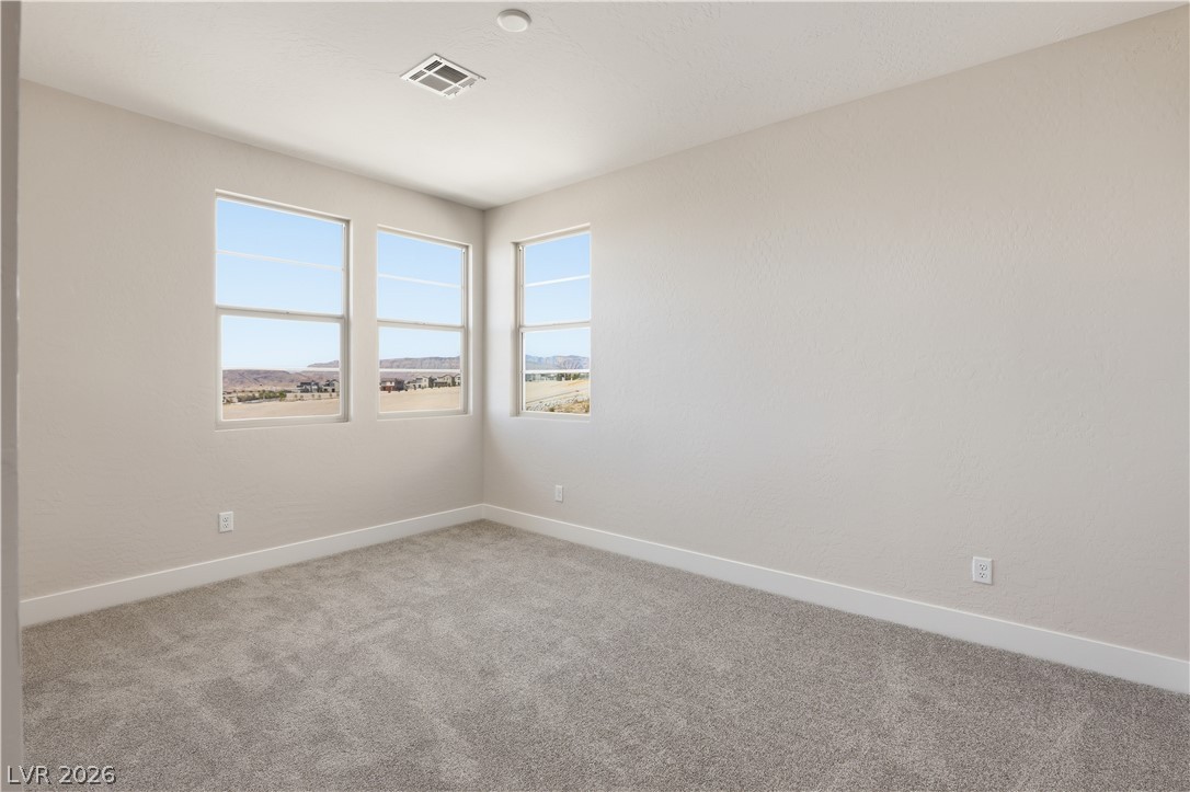 12139 Red Iris Ave Property Photo 19