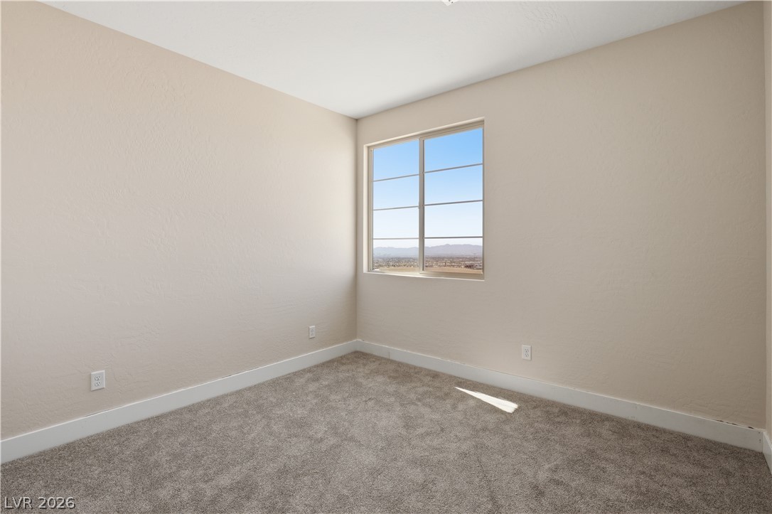 12139 Red Iris Ave Property Photo 20