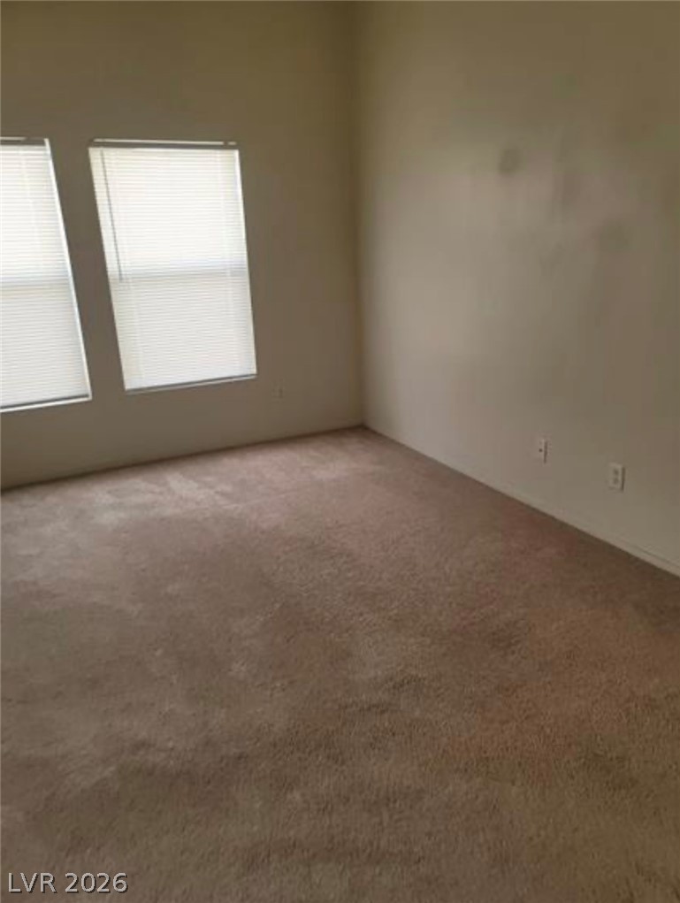 6425 Extreme Shear Avenue 101 Property Photo 19
