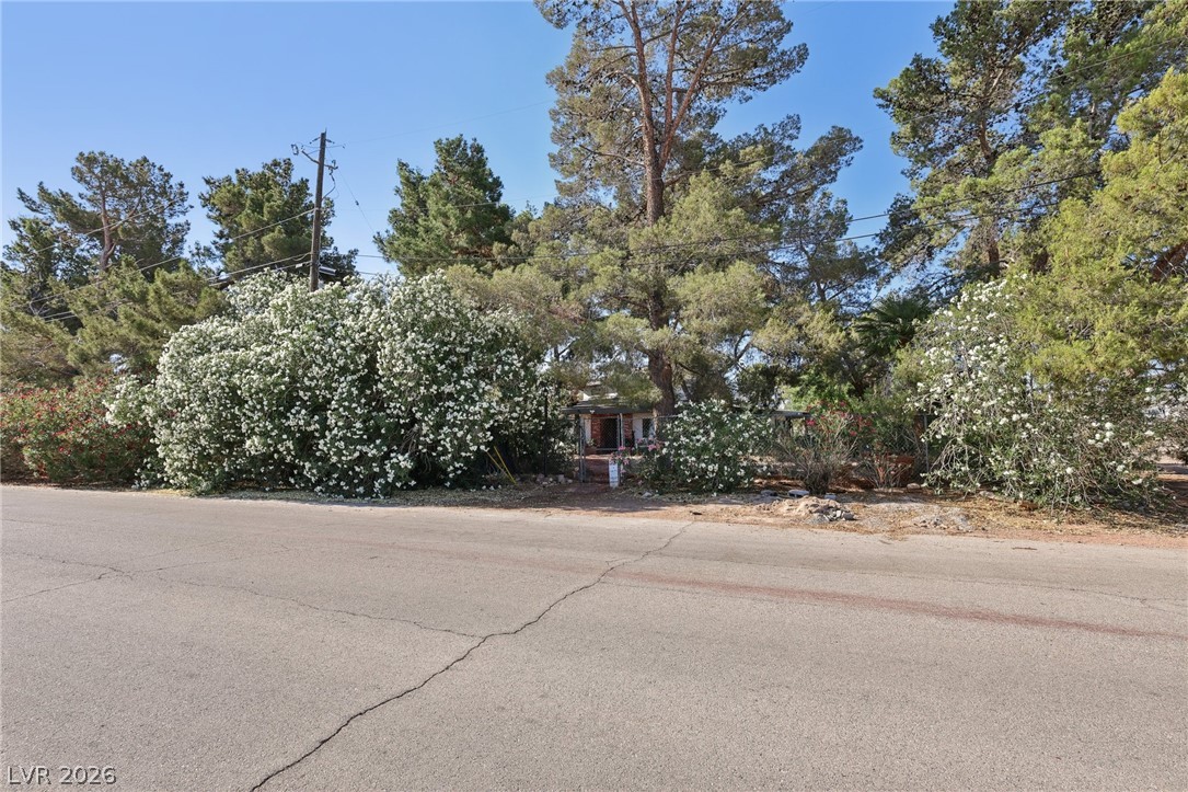 55 Siddall Avenue Property Photo 7