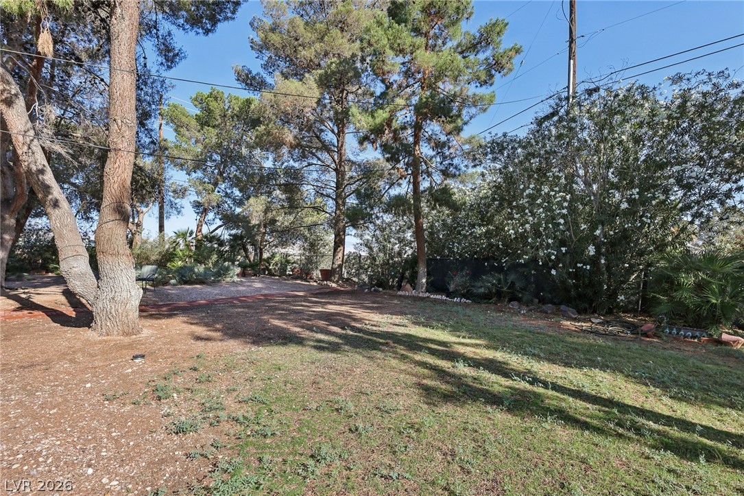 55 Siddall Avenue Property Photo 59