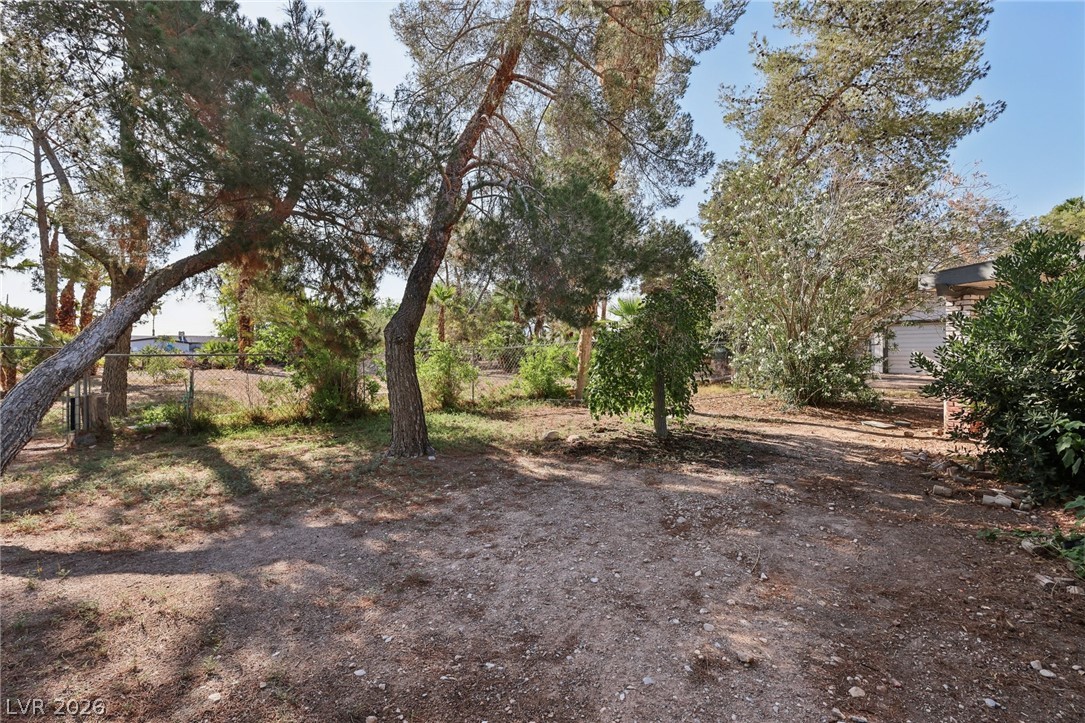 55 Siddall Avenue Property Photo 60